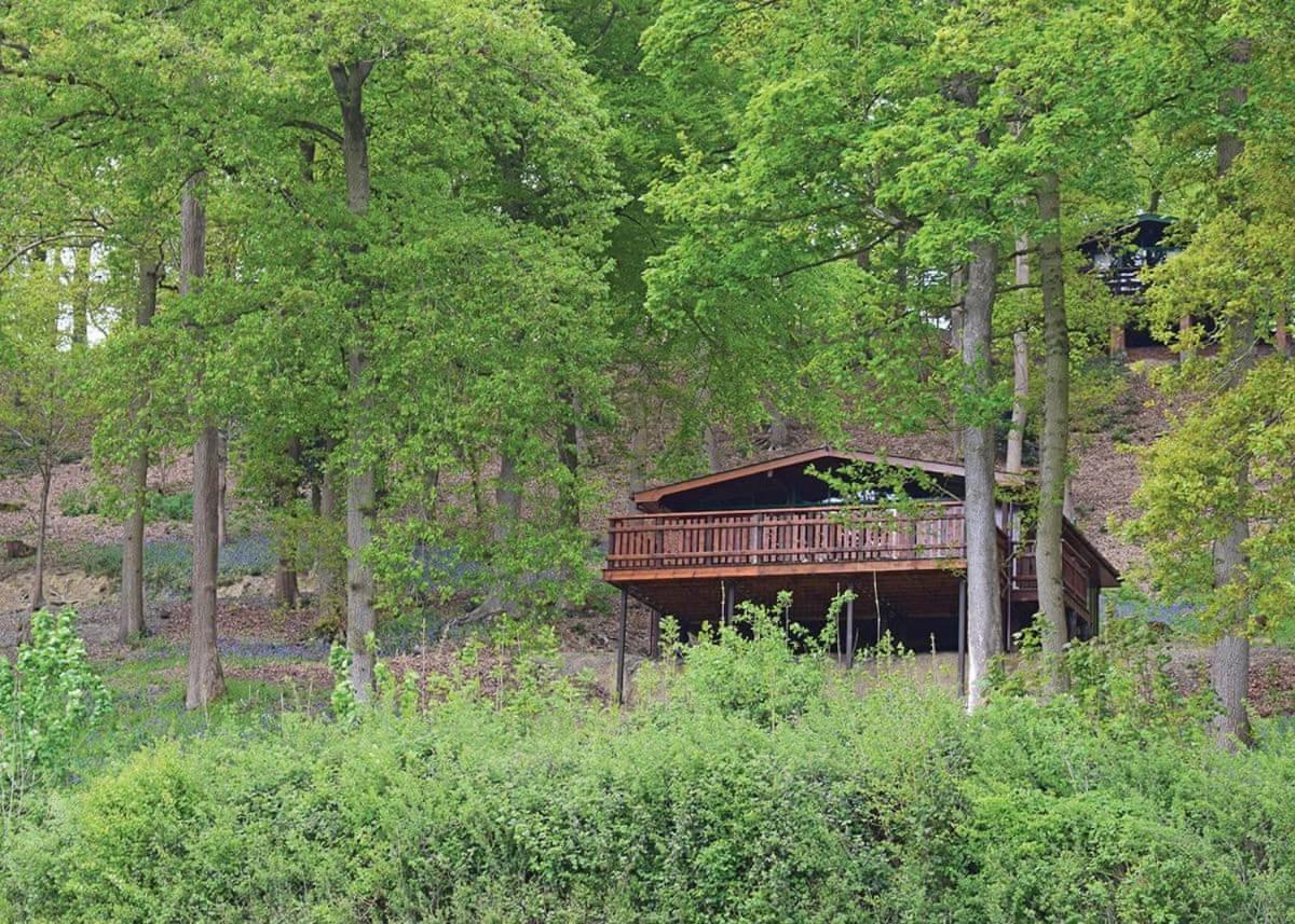 مونتغمري Penllwyn Lodges المظهر الخارجي الصورة