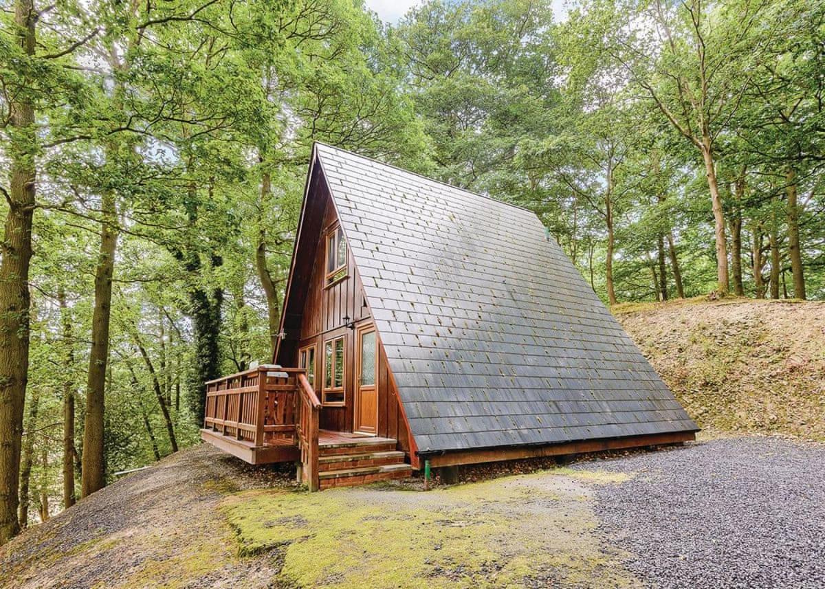 مونتغمري Penllwyn Lodges المظهر الخارجي الصورة
