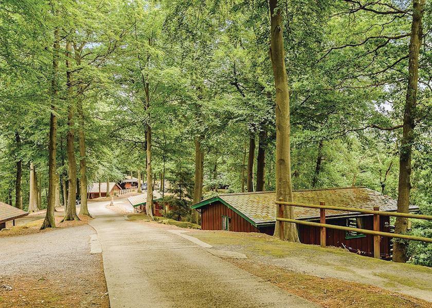 مونتغمري Penllwyn Lodges المظهر الخارجي الصورة